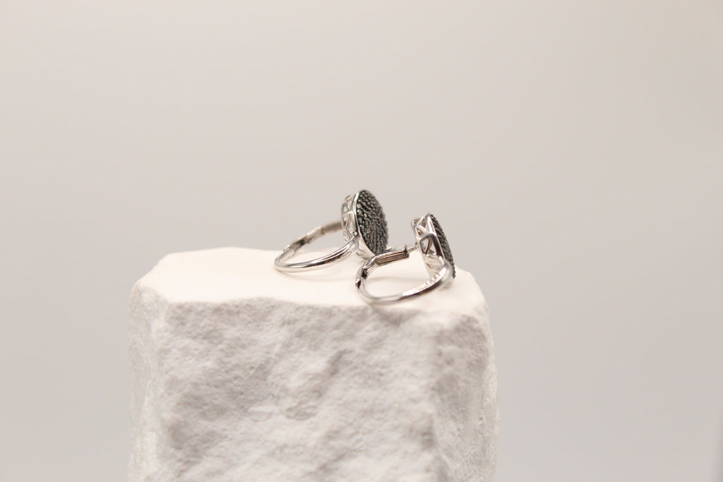 Black Crystal Disc Lever-back Earrings